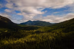 Tongass national forest in Alaska (Source: the Guardian)