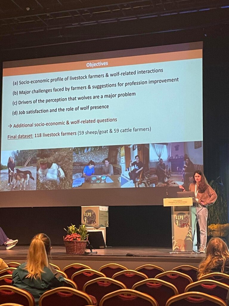 Talking for wolves at the international mammalogy congress (2025)