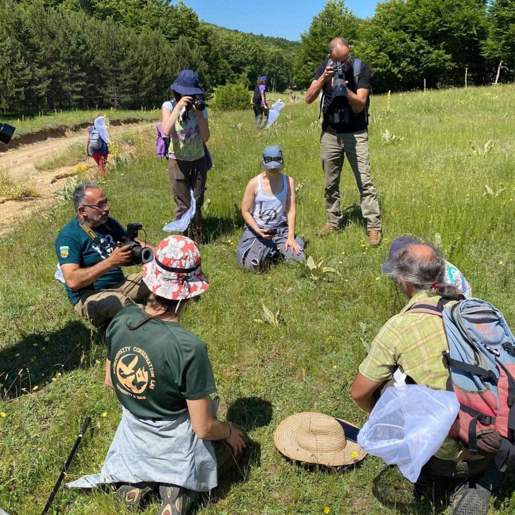 Butterfly expedition with people at Mt Vitsi (2025)