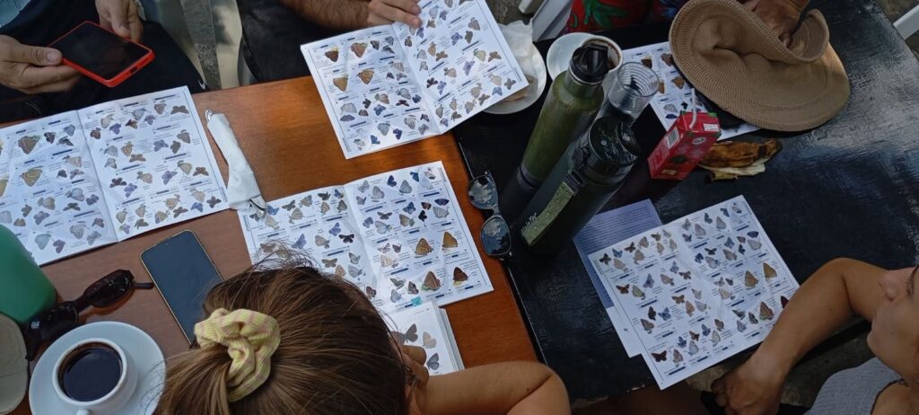 Teaching people the beauty of Epirus butterflies
